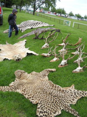 �C�M���X�����t���I�s�E�j���[�A�[�N�̃A���e�B�[�N�t�F�A�w